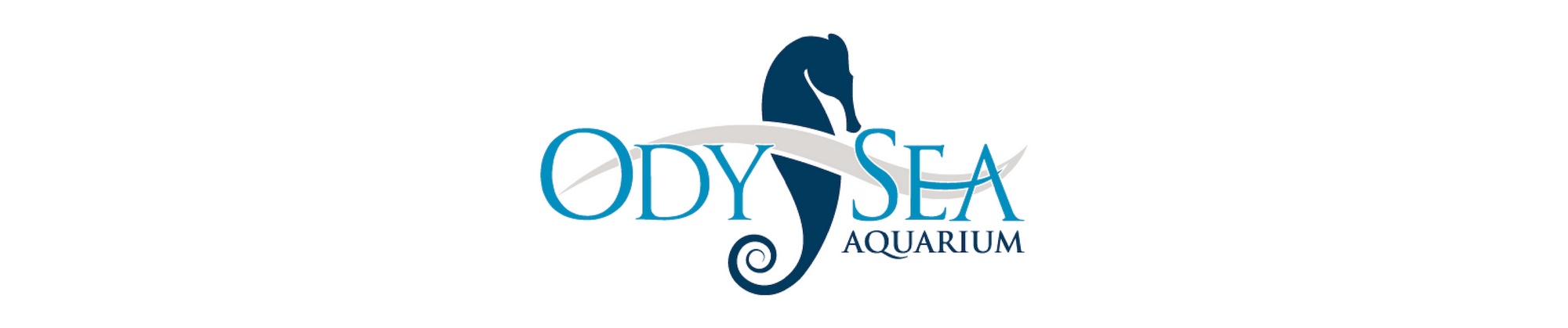 OdySea Aquarium H24