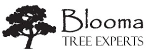 bloomatree
