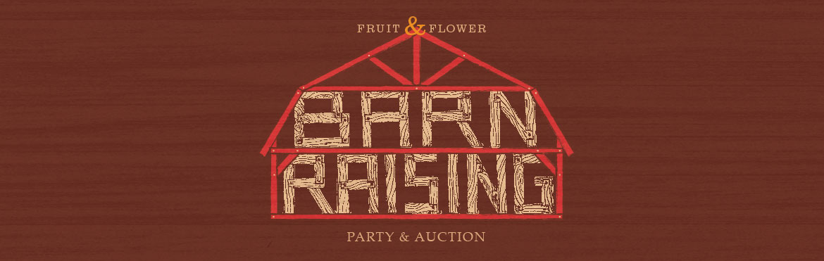 Barn Raising Party