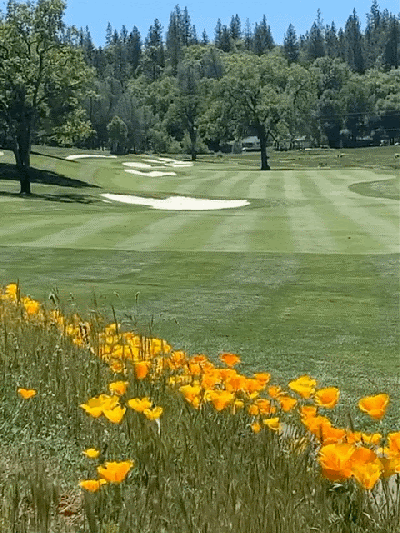 2024 Cougar Classic Golf Tournament