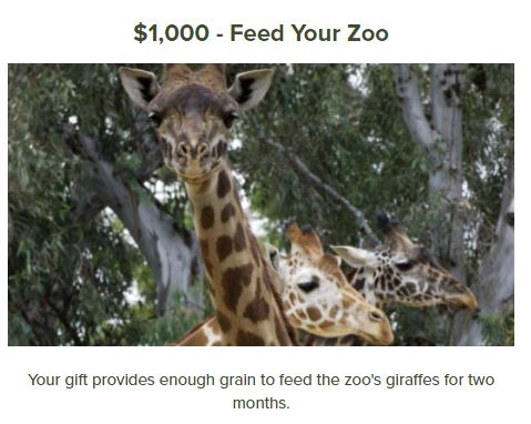 Feed YOUR Zoo... DONATE!